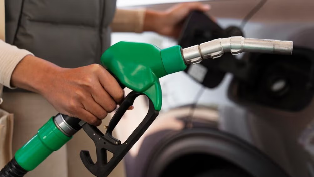 WhatsApp Image 2025-01-03 at 12.30.15