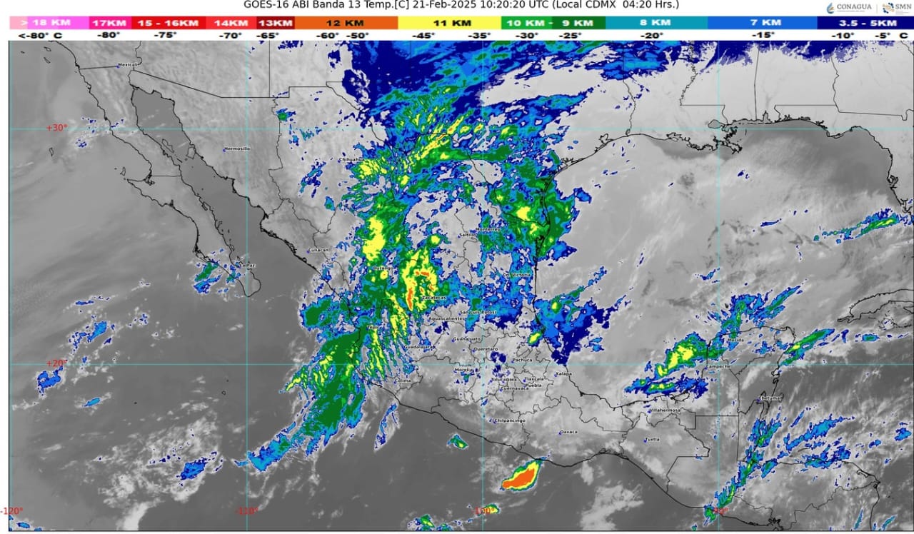 WhatsApp Image 2025-02-21 at 07.22.56