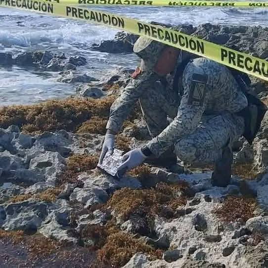 481448159_1270079928039026_4908072023193950530_n