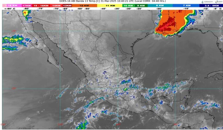 WhatsApp Image 2025-03-31 at 07.34.18