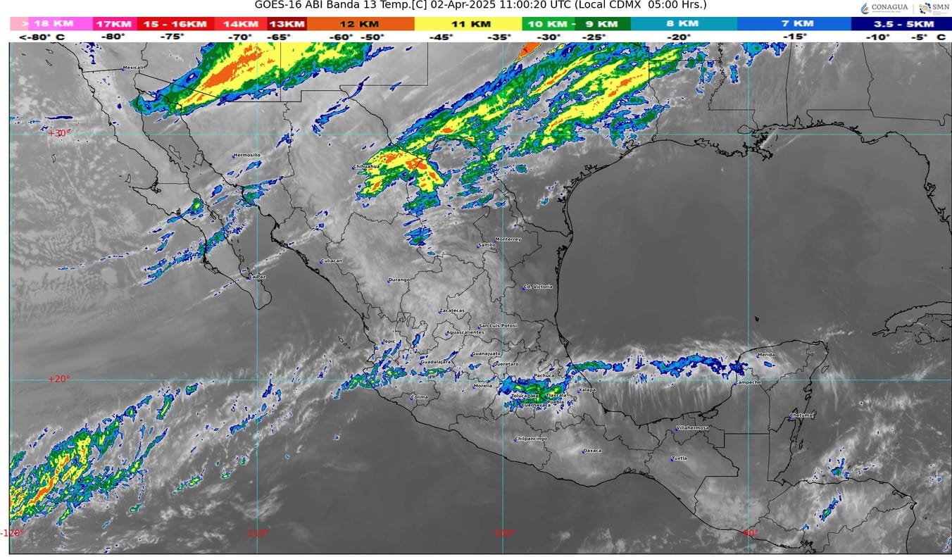 WhatsApp Image 2025-04-02 at 07.17.02