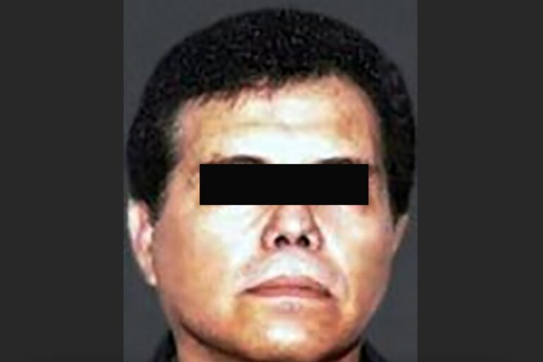 WhatsApp Image 2025-04-02 at 08.46.20