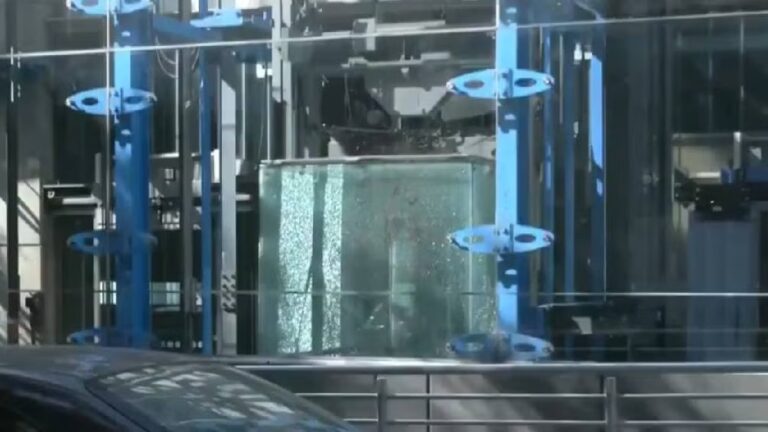 WhatsApp Image 2025-04-04 at 09.18.34