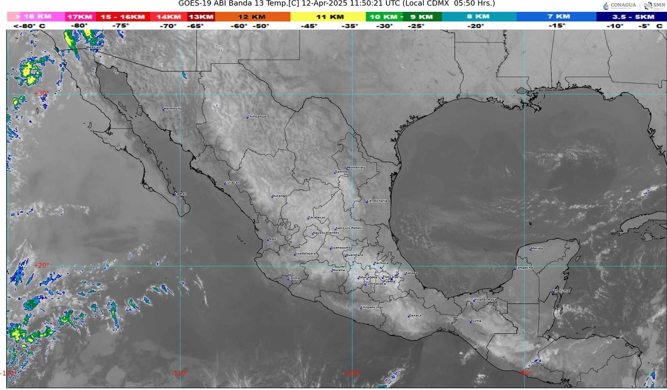 WhatsApp Image 2025-04-12 at 08.30.45