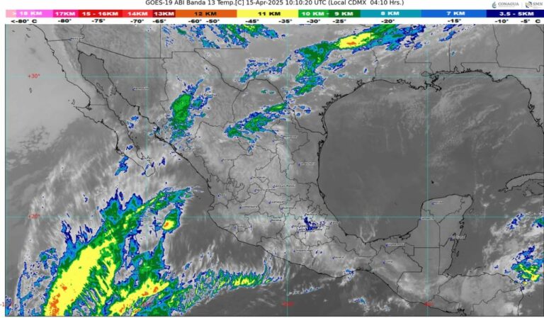 WhatsApp Image 2025-04-15 at 07.33.59