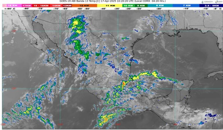 WhatsApp Image 2025-04-17 at 07.25.38