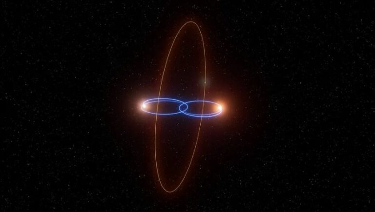 WhatsApp Image 2025-04-17 at 08.54.00