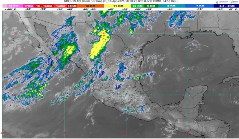 WhatsApp Image 2025-04-18 at 08.18.39