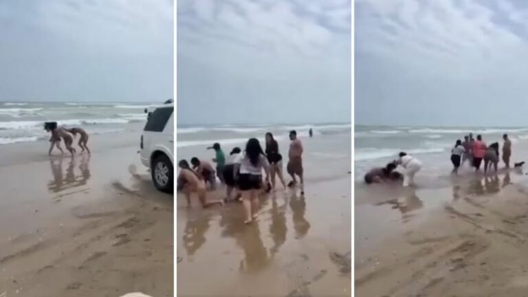 WhatsApp Image 2025-04-19 at 11.32.32