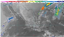 WhatsApp Image 2025-04-21 at 08.45.04