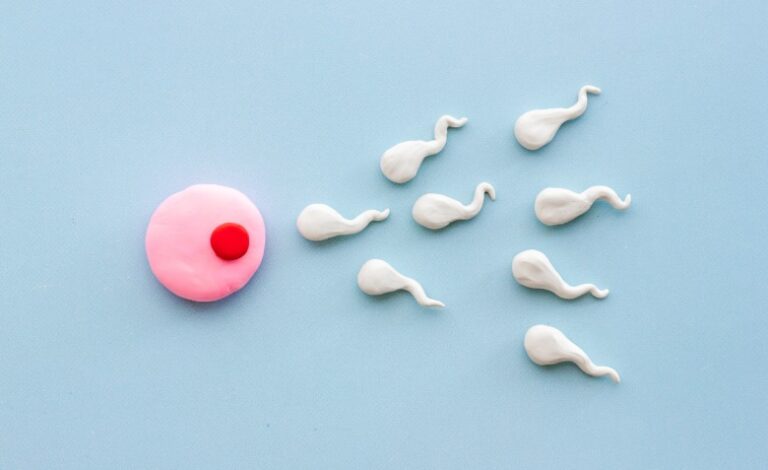 WhatsApp Image 2025-04-25 at 10.03.45