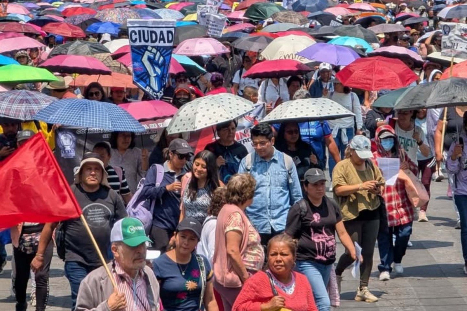 WhatsApp Image 2025-05-02 at 08.18.28