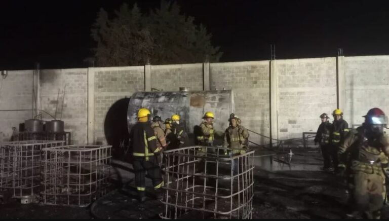 WhatsApp Image 2025-05-07 at 12.58.53