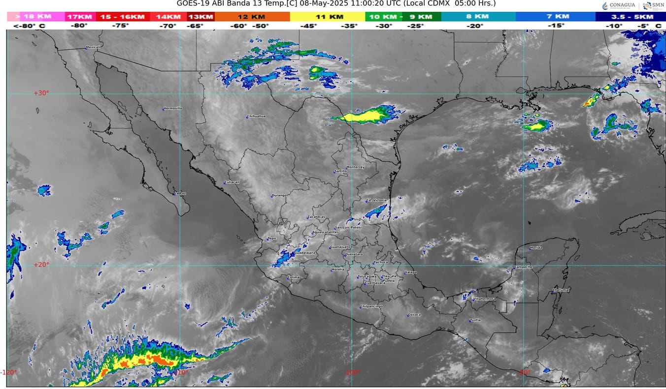 WhatsApp Image 2025-05-08 at 07.13.11