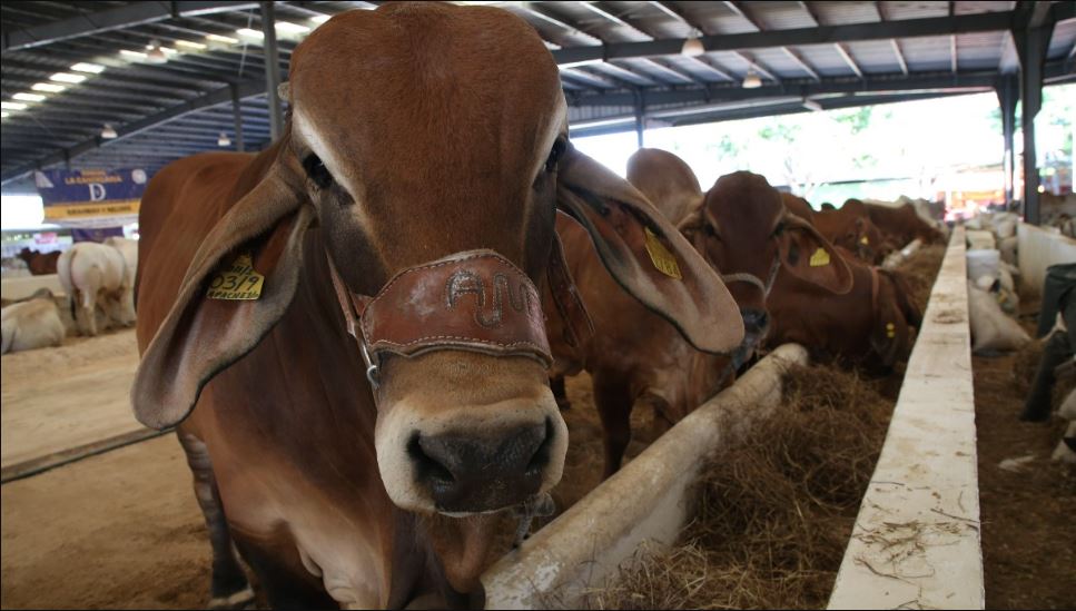 WhatsApp Image 2025-05-13 at 08.47.20