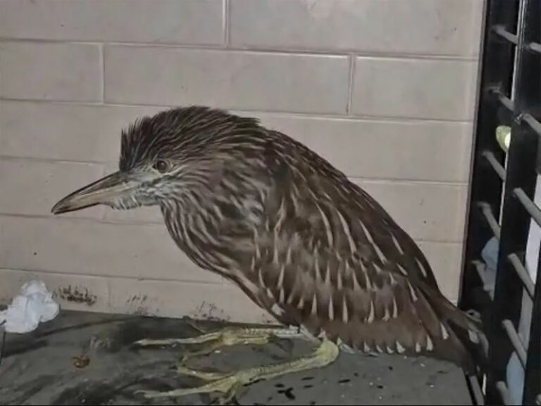 WhatsApp Image 2025-05-13 at 12.24.47