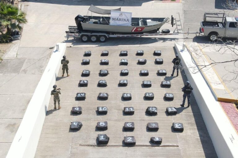 WhatsApp Image 2025-05-29 at 09.57.34