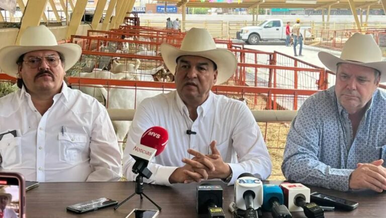 WhatsApp Image 2025-05-31 at 19.52.57