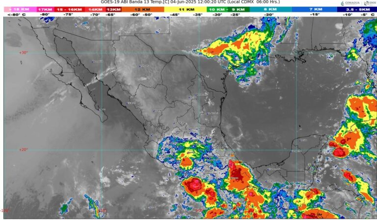 WhatsApp Image 2025-06-04 at 08.14.24