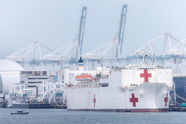 WhatsApp Image 2025-06-08 at 13.19.13