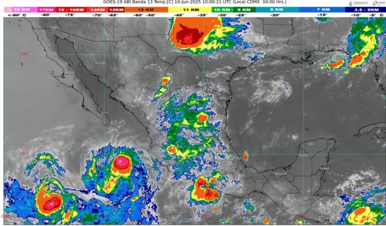 WhatsApp Image 2025-06-10 at 07.26.19