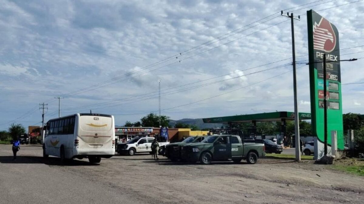 WhatsApp Image 2025-06-23 at 09.02.05