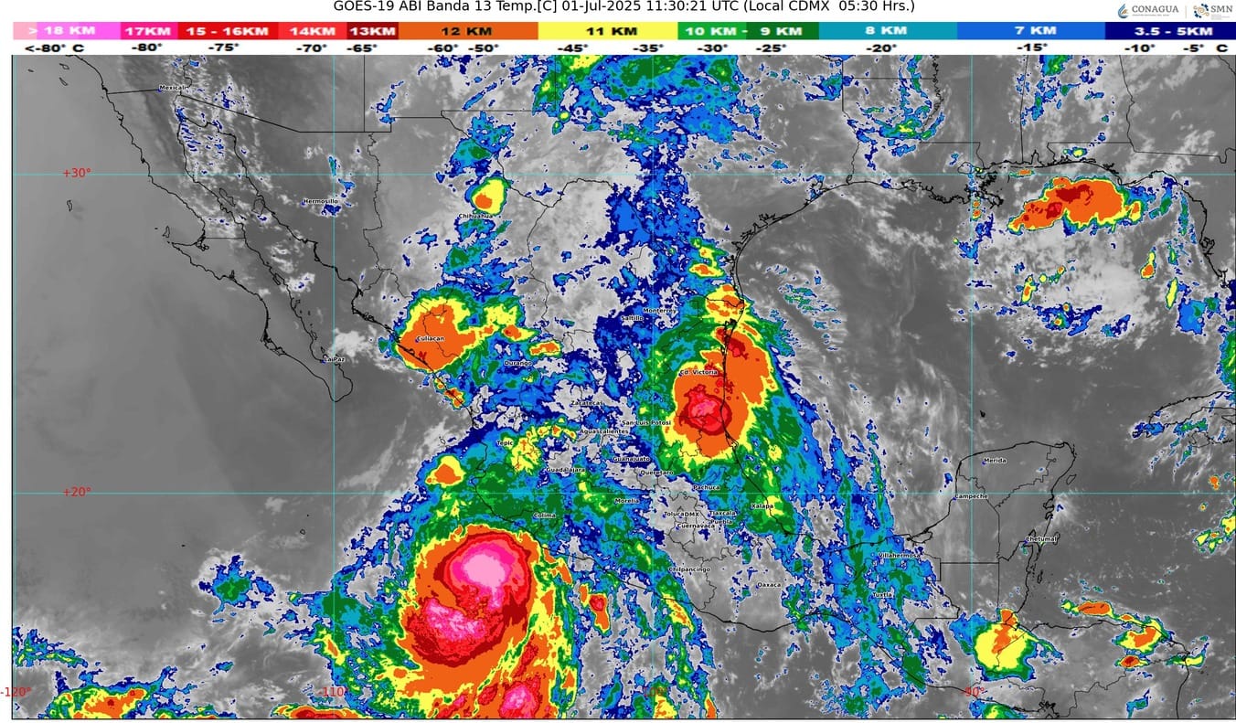 WhatsApp Image 2025-07-01 at 07.21.56