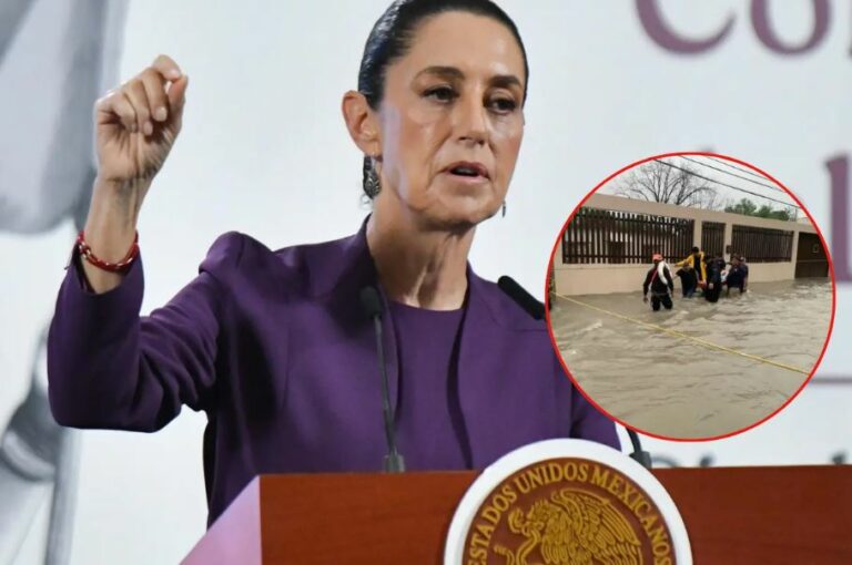 WhatsApp Image 2025-07-04 at 12.40.24