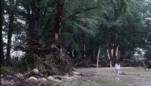 WhatsApp Image 2025-07-06 at 10.24.19