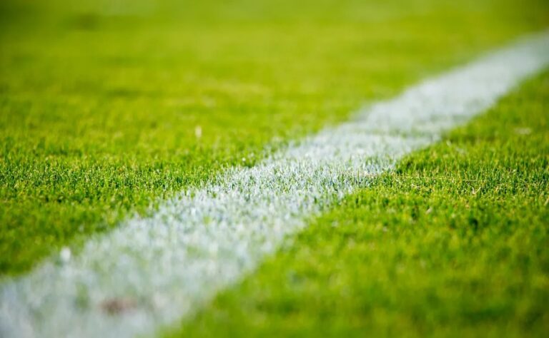 WhatsApp Image 2025-07-09 at 09.46.47