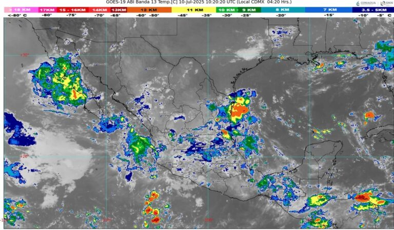 WhatsApp Image 2025-07-10 at 07.26.58