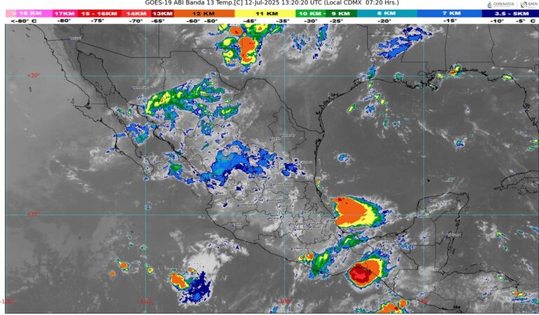 WhatsApp Image 2025-07-12 at 08.47.34