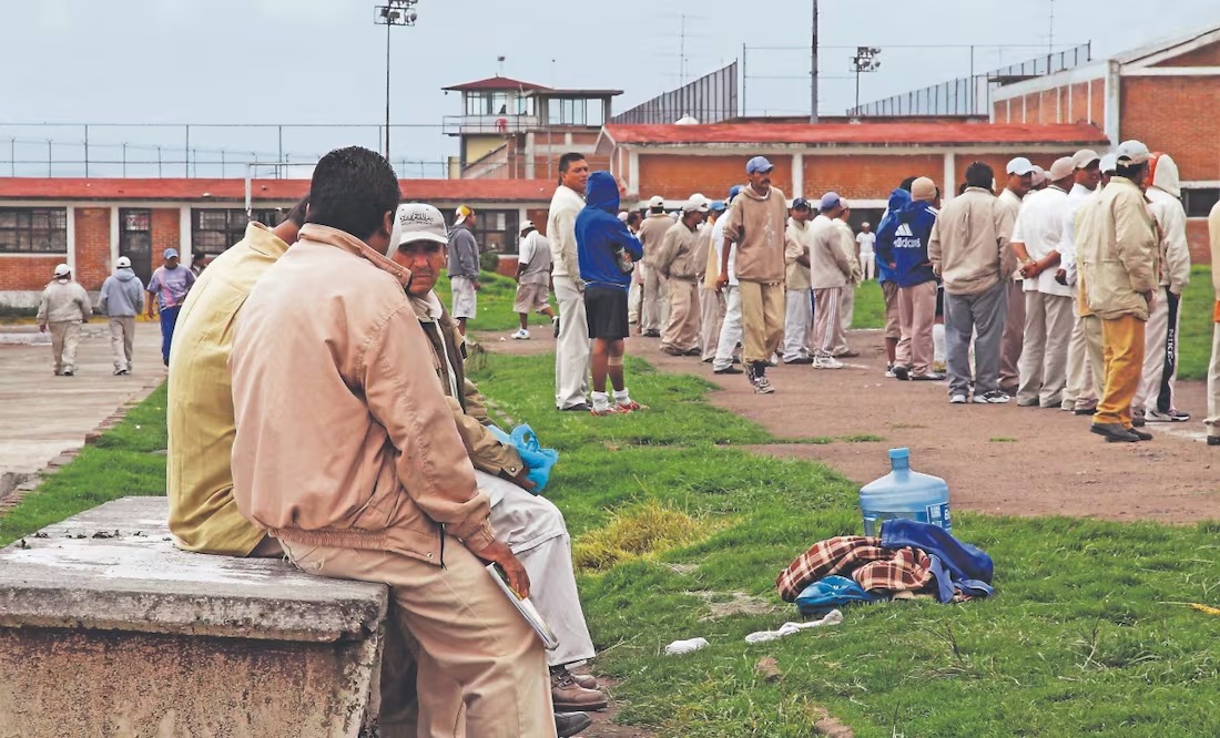 WhatsApp Image 2025-07-18 at 10.10.33 (1)