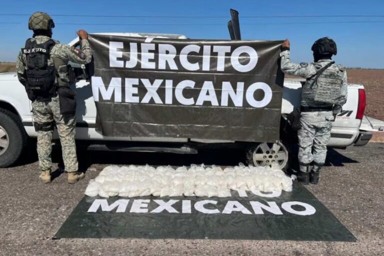 Imagen de WhatsApp 2025-11-14 a las 10.49.52_c13f449c