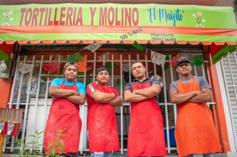 WhatsApp Image 2025-12-16 at 11.01.42