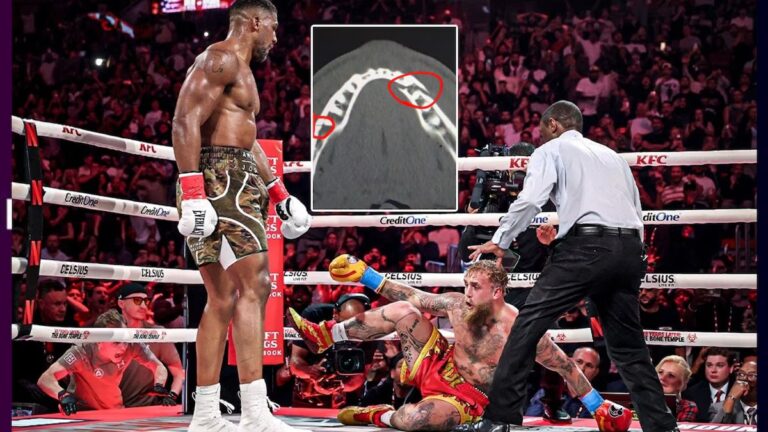 WhatsApp Image 2025-12-20 at 13.48.51