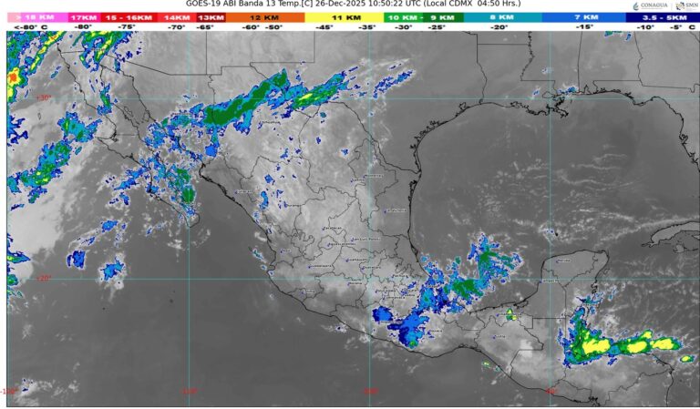 WhatsApp Image 2025-12-26 at 07.51.19