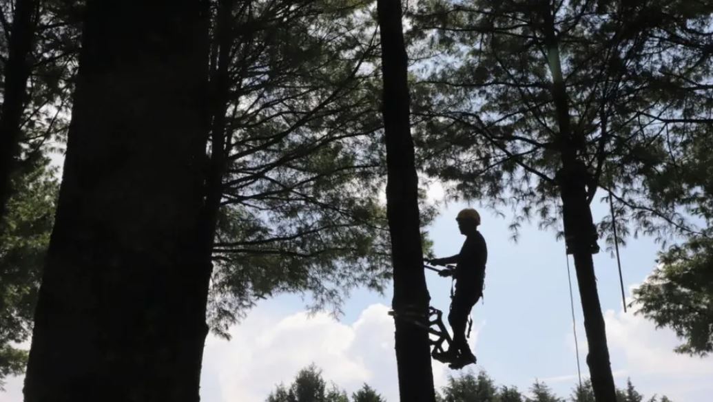 WhatsApp Image 2026-01-04 at 11.06.49