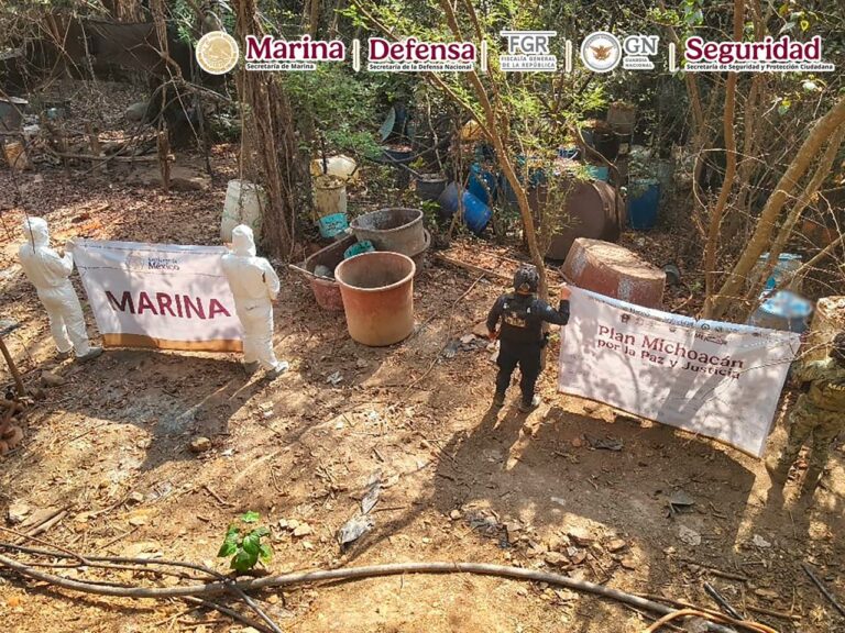 WhatsApp Image 2026-01-12 at 08.53.07