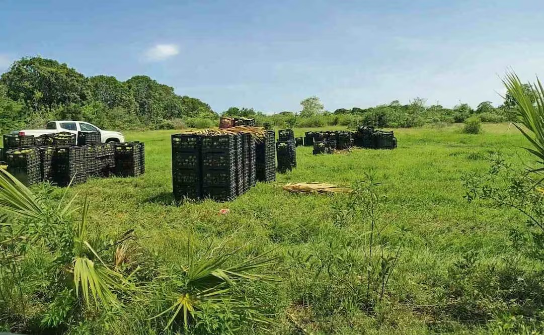 WhatsApp Image 2026-01-12 at 09.04.18