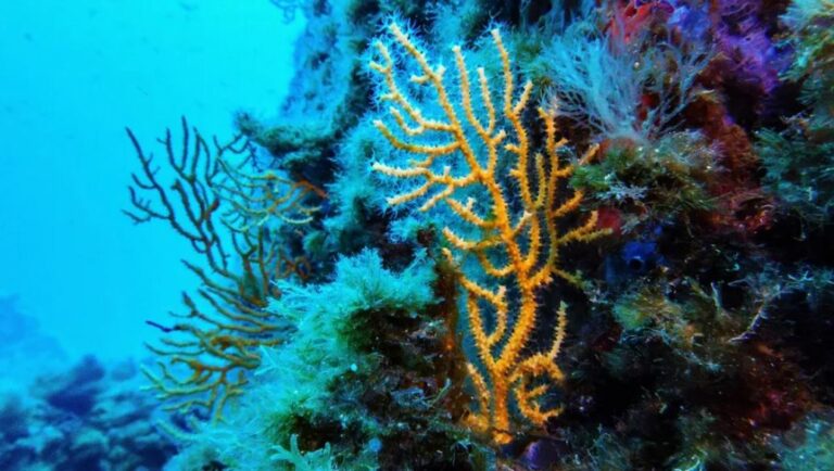 WhatsApp Image 2026-01-17 at 14.33.11