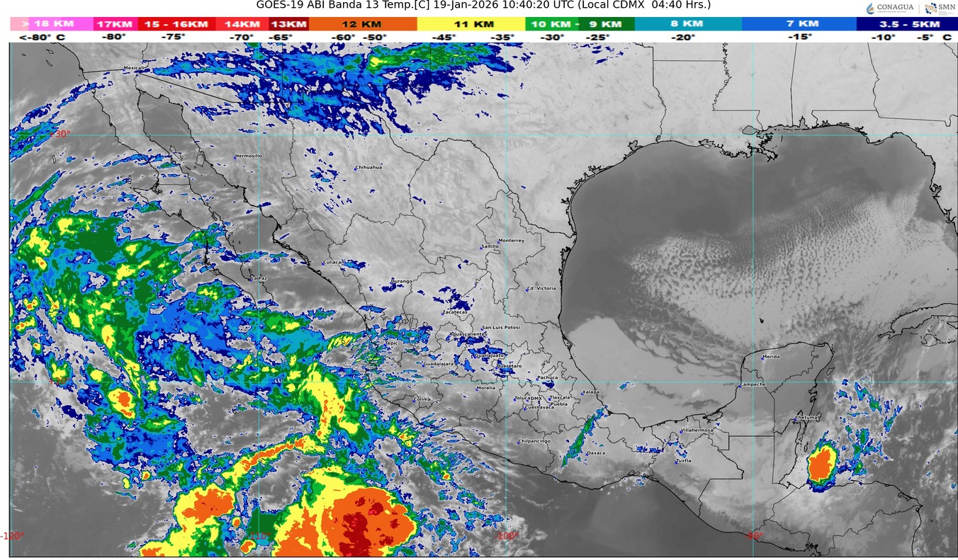 WhatsApp Image 2026-01-19 at 07.51.59