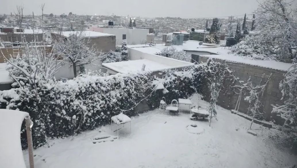 WhatsApp Image 2026-01-24 at 14.35.15