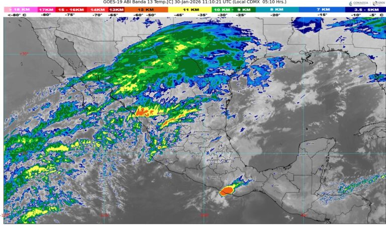 WhatsApp Image 2026-01-30 at 07.49.00