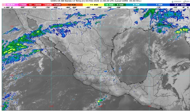 WhatsApp Image 2026-02-03 at 07.35.26