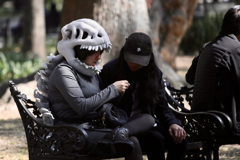 WhatsApp Image 2026-02-04 at 10.27.04