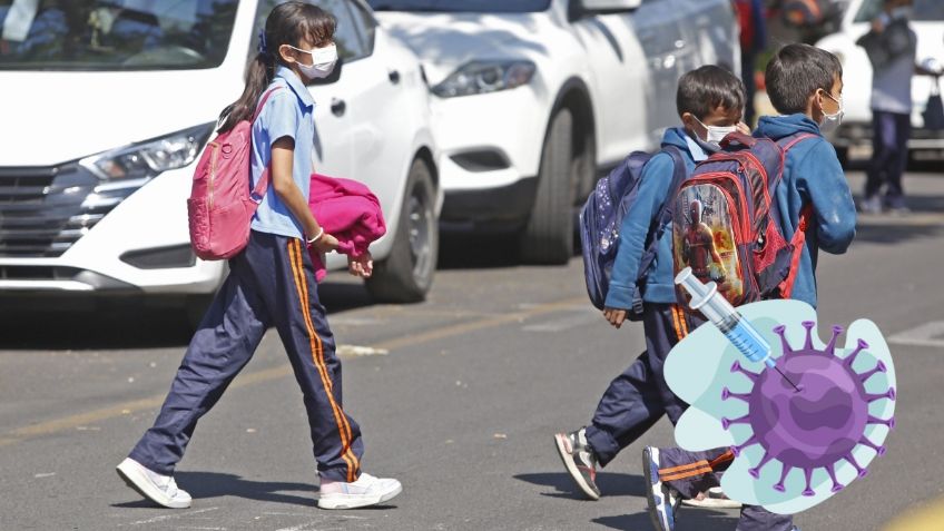 WhatsApp Image 2026-02-06 at 09.14.44