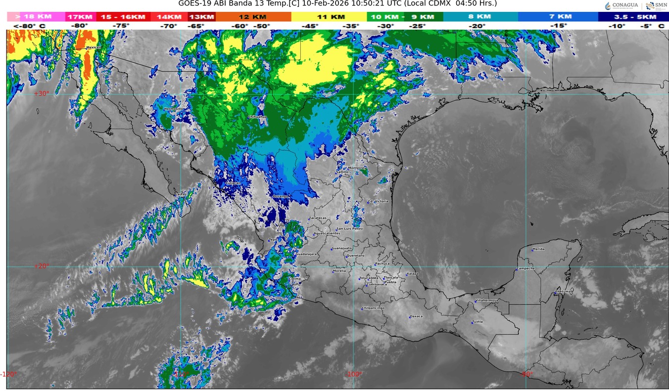 WhatsApp Image 2026-02-10 at 07.52.58