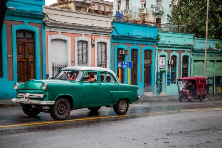 WhatsApp Image 2026-02-15 at 12.14.13