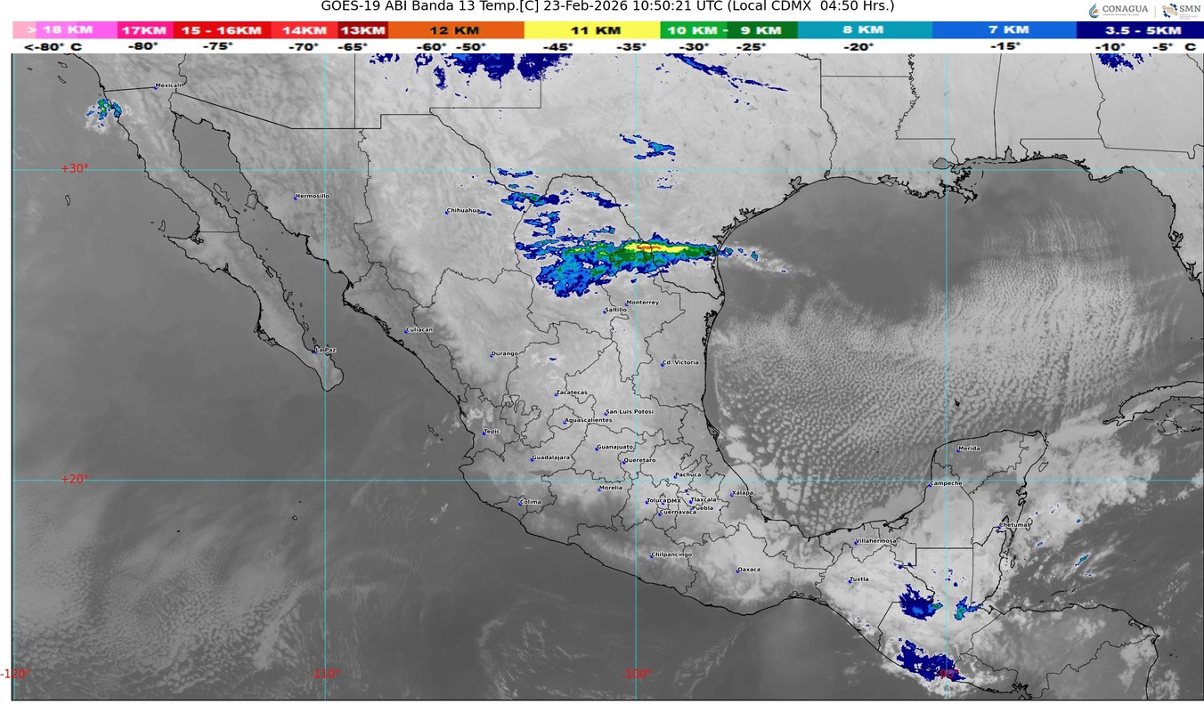 WhatsApp Image 2026-02-23 at 07.47.26